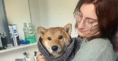 avatar petsitter