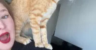 avatar petsitter