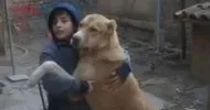 avatar petsitter