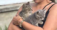 avatar petsitter
