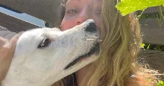 avatar petsitter