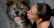 avatar petsitter