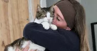 avatar petsitter
