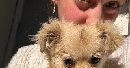 avatar petsitter