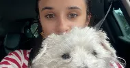 avatar petsitter
