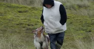 avatar petsitter