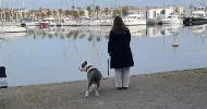 avatar petsitter