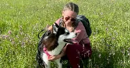 avatar petsitter