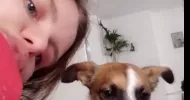 avatar petsitter