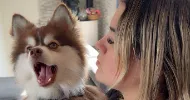 avatar petsitter