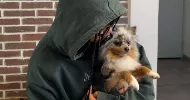 avatar petsitter