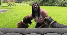 avatar petsitter
