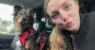 avatar petsitter