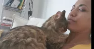 avatar petsitter