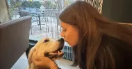 avatar petsitter