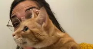 avatar petsitter
