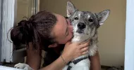 avatar petsitter