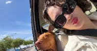 avatar petsitter