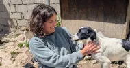 avatar petsitter