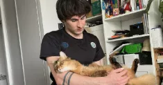 avatar petsitter