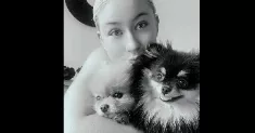 avatar petsitter