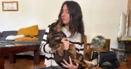 avatar petsitter
