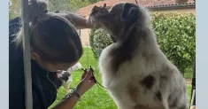 avatar petsitter