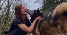 avatar petsitter