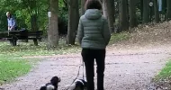 avatar petsitter