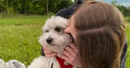 avatar petsitter