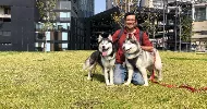 avatar petsitter