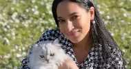 avatar petsitter