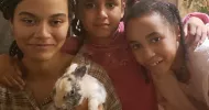 avatar petsitter