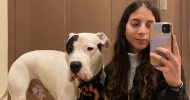 avatar petsitter