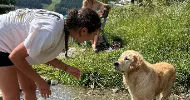 avatar petsitter
