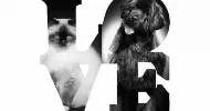 avatar petsitter