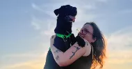 avatar petsitter