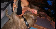 avatar petsitter