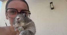 avatar petsitter