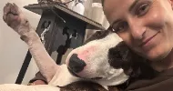 avatar petsitter