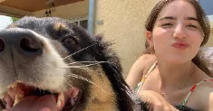 avatar petsitter