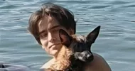 avatar petsitter
