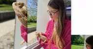 avatar petsitter