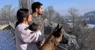 avatar petsitter