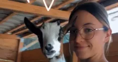 avatar petsitter