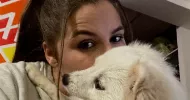 avatar petsitter