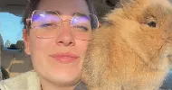 avatar petsitter