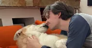 avatar petsitter