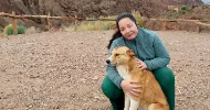 avatar petsitter