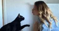 avatar petsitter